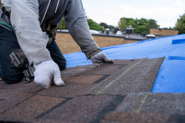 Quick and Trustworthy Emergency Roof Repair Services in Manitou Beach Devils Lake, MI