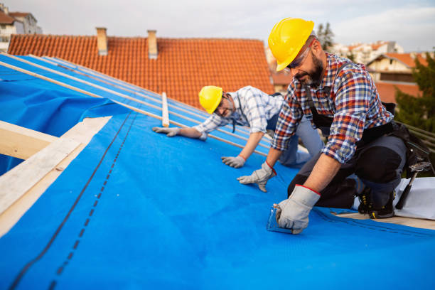 Best Commercial Roofing Services  in Manitou Beach Devils Lake, MI